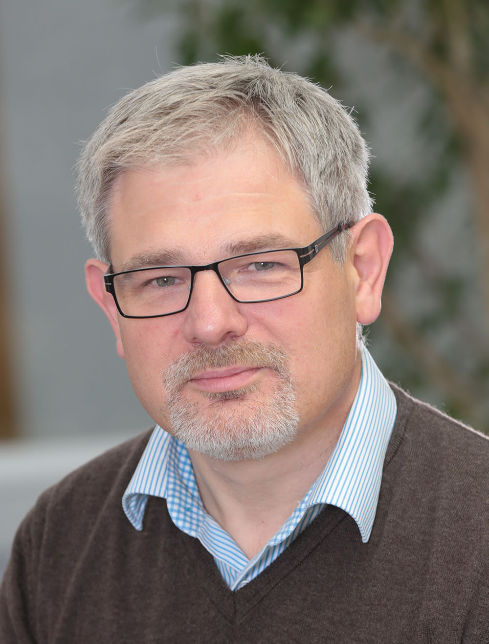 Strategic global development adviser